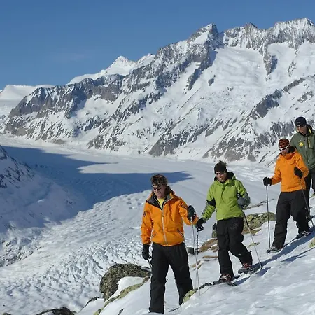 Apartment Ambiente | A10 *