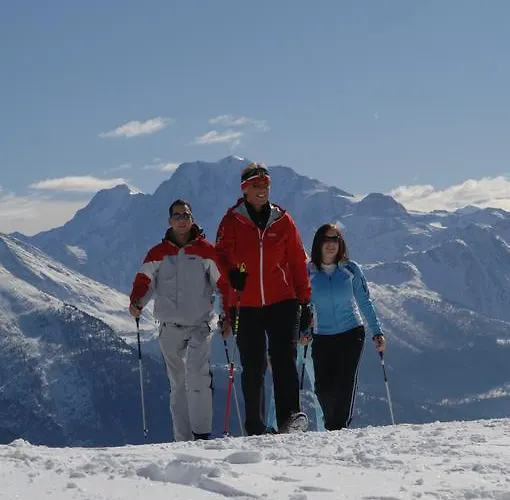Lejlighed Ambiente | A10 Bettmeralp